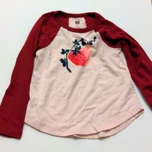 Tea collection strawberry tea